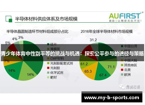 青少年体育中性别平等的挑战与机遇：探索公平参与的途径与策略