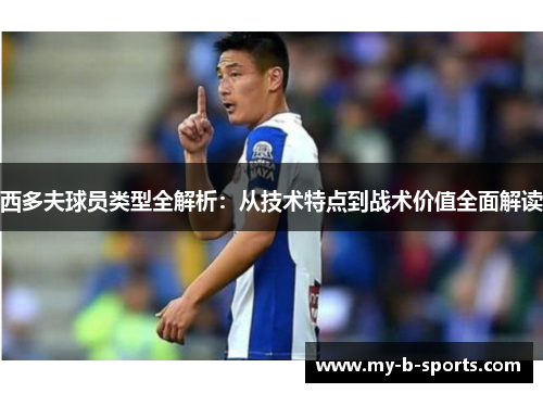 西多夫球员类型全解析:从技术特点到战术价值全面解读 西多夫球员类型全解析:从技术特点到战术价值全面解读