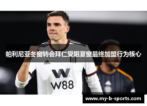帕利尼亚冬窗转会拜仁受阻夏窗最终加盟行为核心 帕利尼亚冬窗转会拜仁受阻夏窗最终加盟行为核心